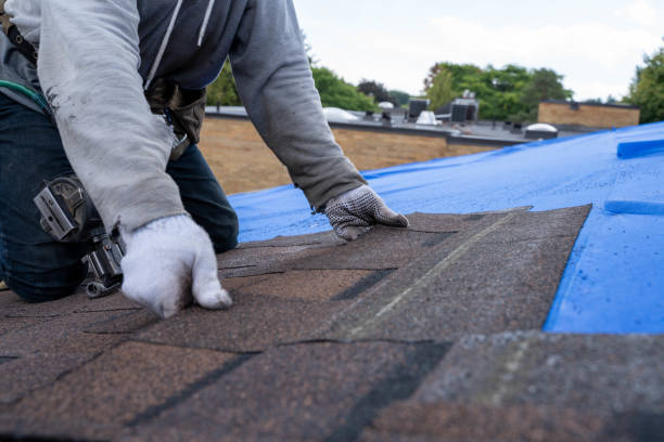 Best Flat Roof Repair Services  in Dublin, GA