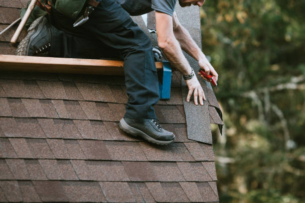 Professional Roofing Contractor in Dublin, GA